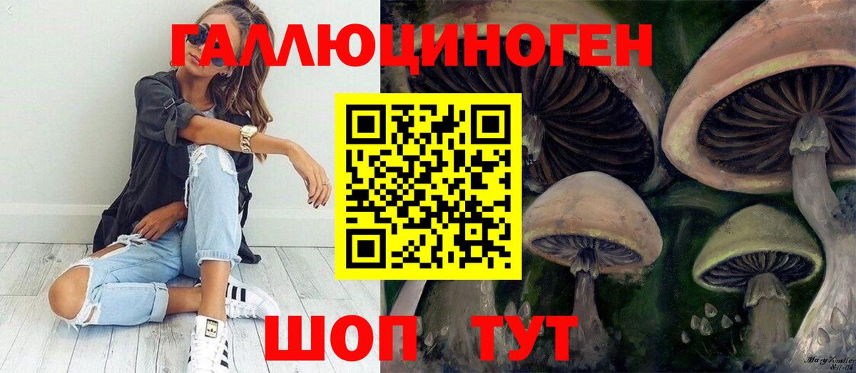 Псилоцибиновые грибы прущие грибы  Вход с VPN  Батайск 